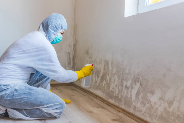 Licensed Mold Remediation service in Austin, TX - WQB Mold Removal