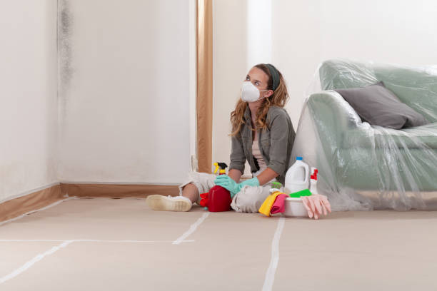 Reliable Mold Remediation contractor in Austin, TX by WQB Mold Removal